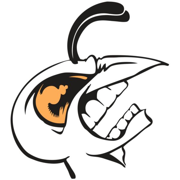 BAW BEE 19 RC Thumbnail