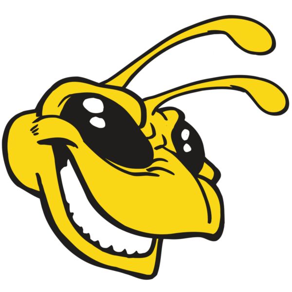 AR5 BEE 24 RQC Thumbnail