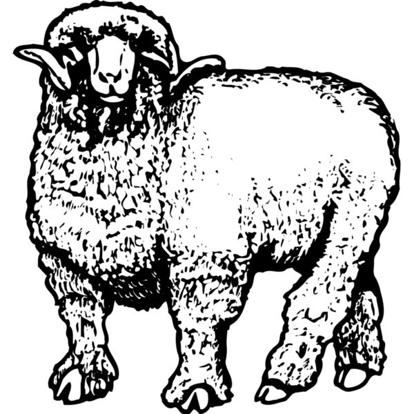 SHEEP001 Thumbnail