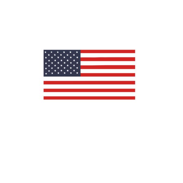 US Flag Thumbnail