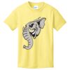 Best Selling Youth Cotton Tee Thumbnail