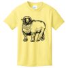 Best Selling Youth Cotton Tee Thumbnail