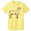Best Selling Youth Cotton Tee Thumbnail