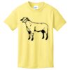 Best Selling Youth Cotton Tee Thumbnail