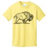 Best Selling Youth Cotton Tee Thumbnail