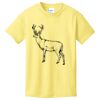 Best Selling Youth Cotton Tee Thumbnail