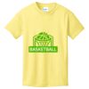 Best Selling Youth Cotton Tee Thumbnail